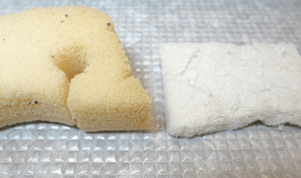 お風呂掃除のスポンジは白パッド一択